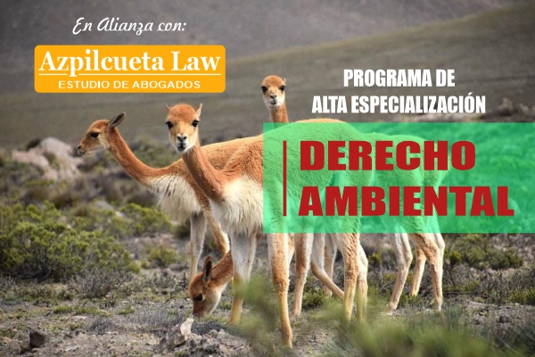 PAE Ambiental